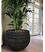 DOMANI WIEN | Naturschwarz 60