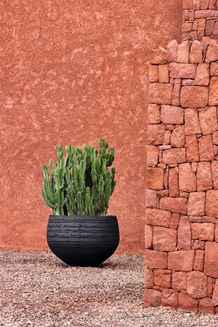 DOMANI VIENNA | Natural Black 80 DOMANI VIENNA | Natural Black 80