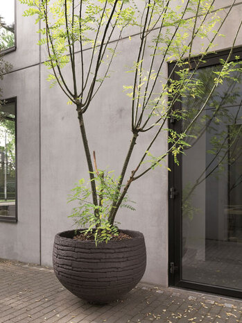 DOMANI VIENNA | Natural Black 110 DOMANI VIENNA | Natural Black 110