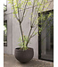 DOMANI VIENA | Negro Natural 110