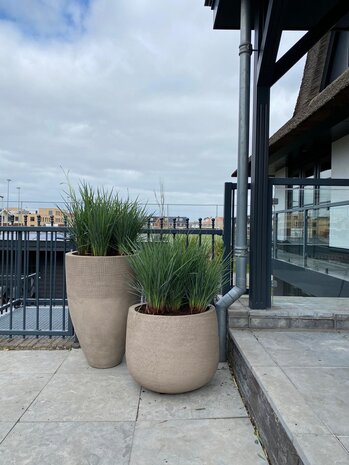 DOMANI PARIS | Naturgrau 80 DOMANI PARIS | Naturgrau 80