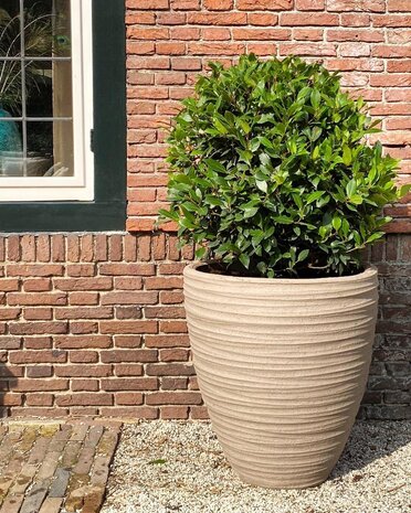 DOMANI DALA | Naturlig grå 110