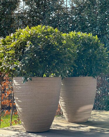 DOMANI DALA | Naturlig grå 135 DOMANI DALA | Naturlig grå 135