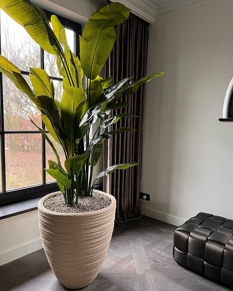 DOMANI DALA | Naturhvit 60 DOMANI DALA | Naturhvit 60