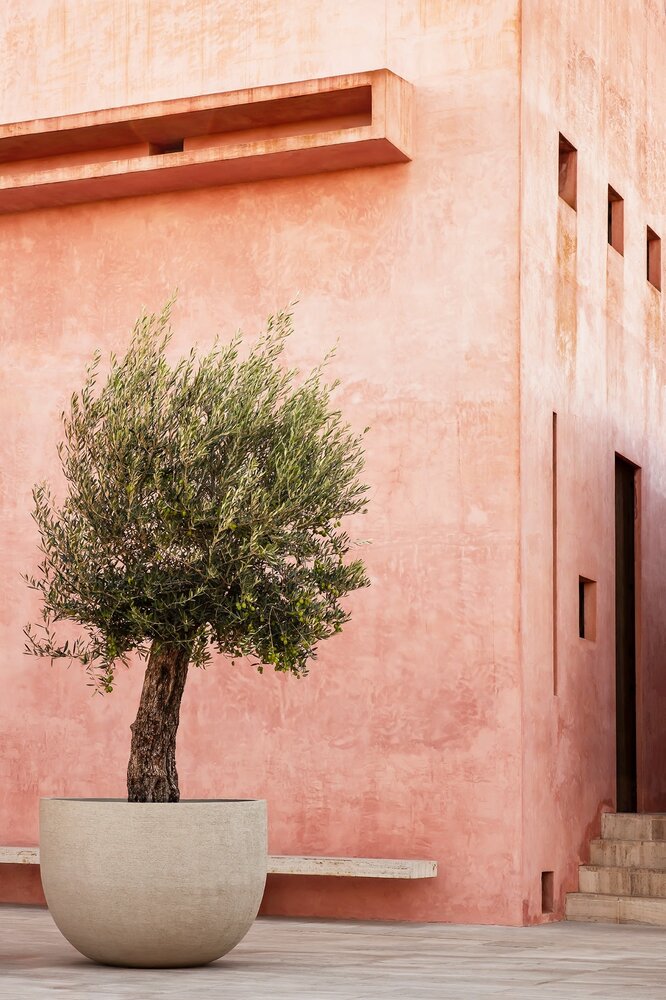 DOMANI TEXEL | Natural White 100 DOMANI TEXEL | Natural White 100