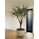 DOMANI TEXEL | Natural White 100 DOMANI TEXEL | Natural White 100