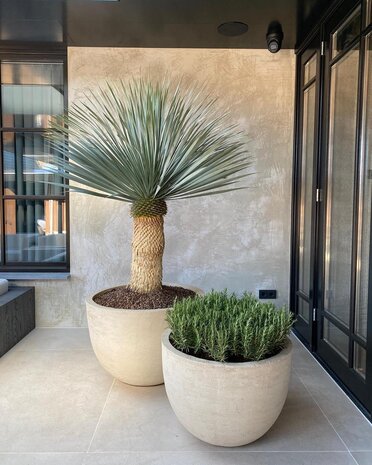 DOMANI TEXEL | Naturhvit 120 DOMANI TEXEL | Naturhvit 120