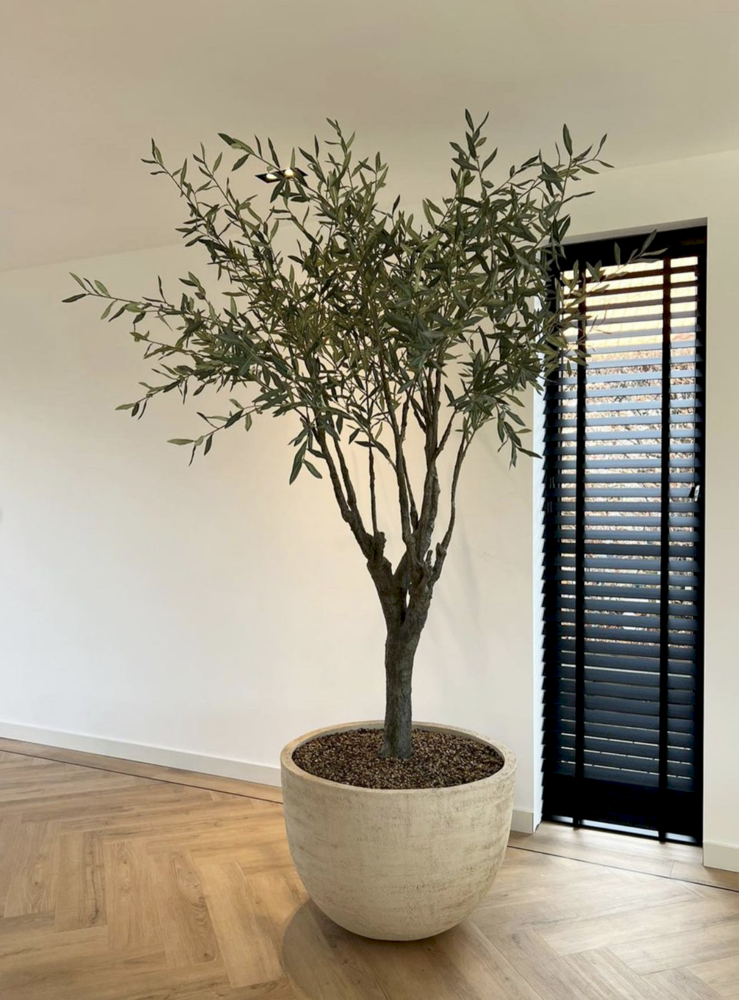 DOMANI TEXEL | Natural White 120 DOMANI TEXEL | Natural White 120