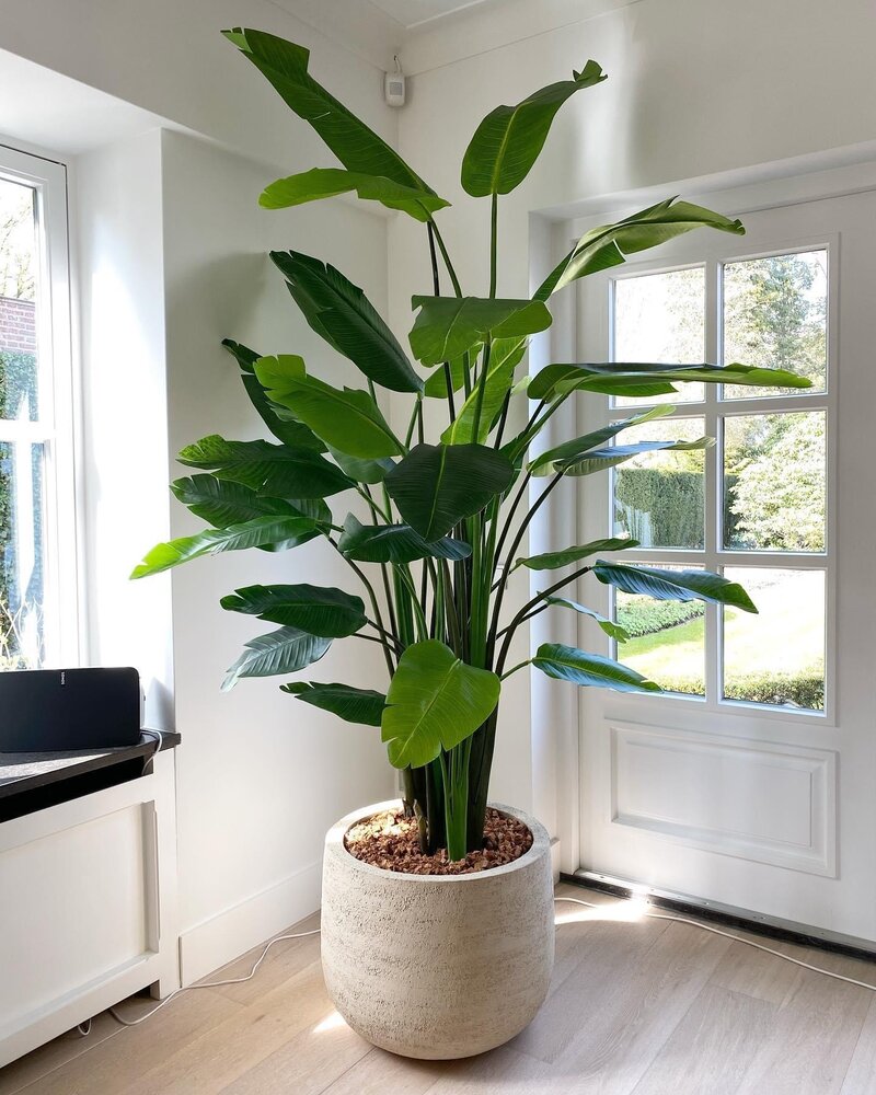 DOMANI GRAZ | Bianco naturale DOMANI GRAZ | Bianco naturale