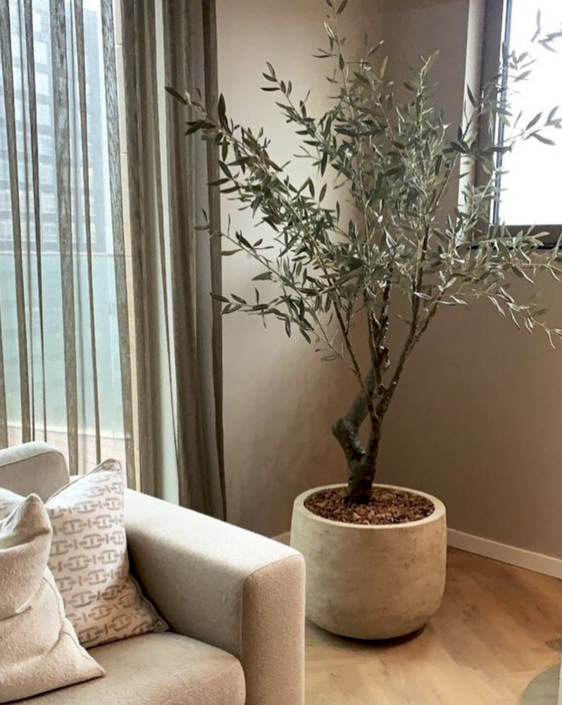 DOMANI Graz | Blanco natural DOMANI Graz | Blanco natural