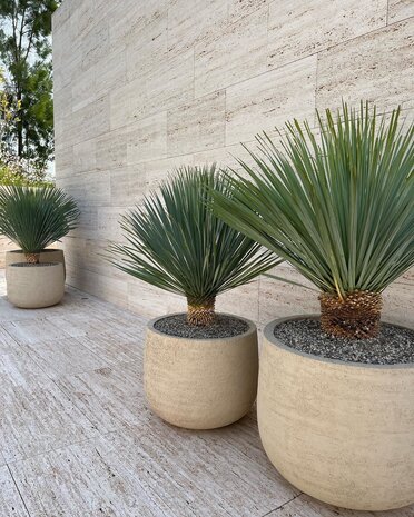 DOMANI GRAZ | Natural White DOMANI GRAZ | Natural White