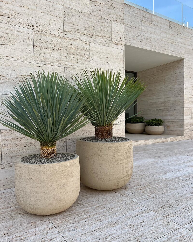 DOMANI GRAZ | Naturweiß DOMANI GRAZ | Naturweiß