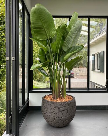 DOMANI LAVA | Naturlig svart DOMANI LAVA | Naturlig svart