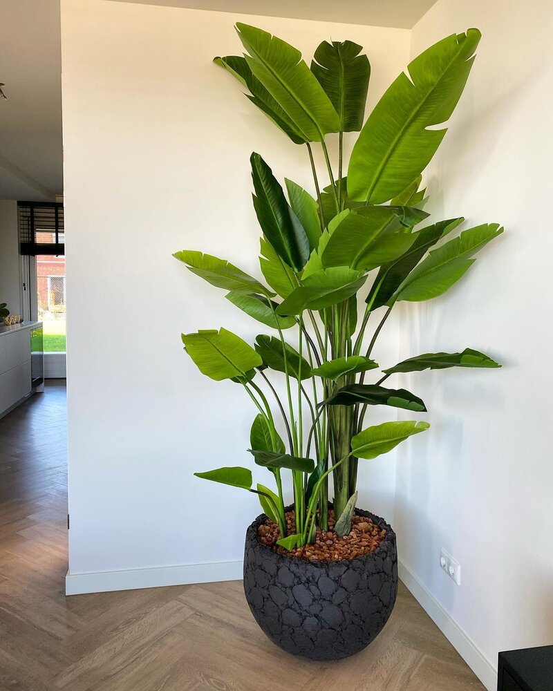 DOMANI LAVA | Naturlig svart DOMANI LAVA | Naturlig svart