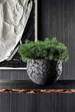 DOMANI LAVA | Naturlig svart DOMANI LAVA | Naturlig svart