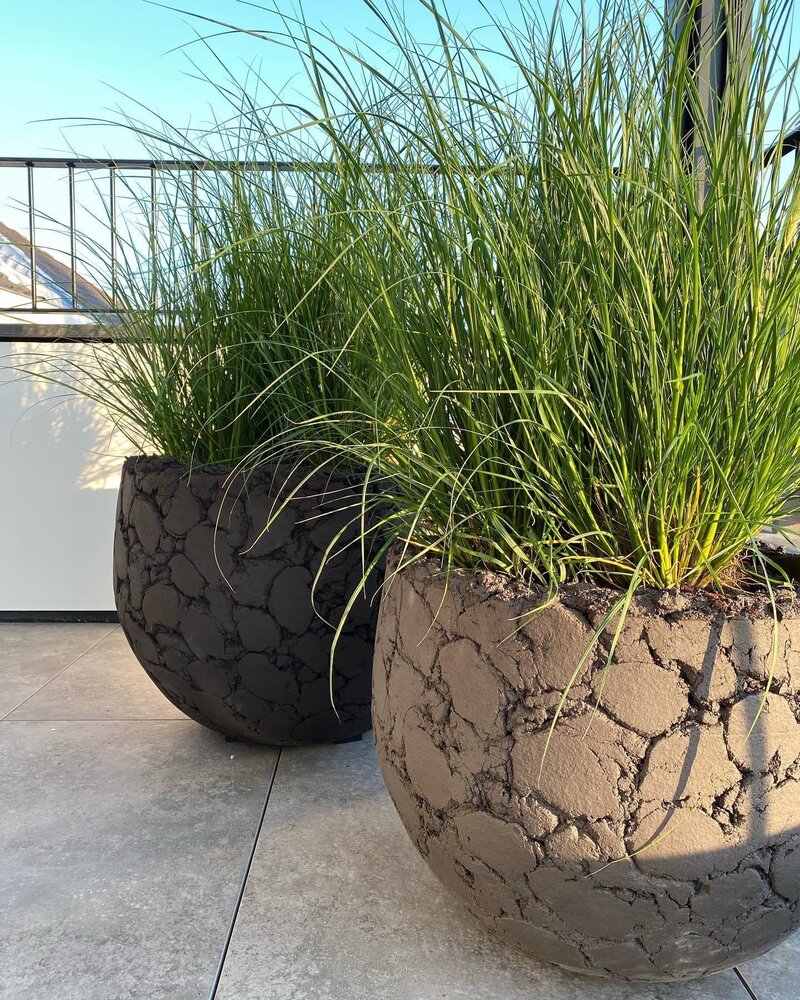 ドマーニ domani LAVA 50cm ラバ 50の通販 | 家具・インテリア