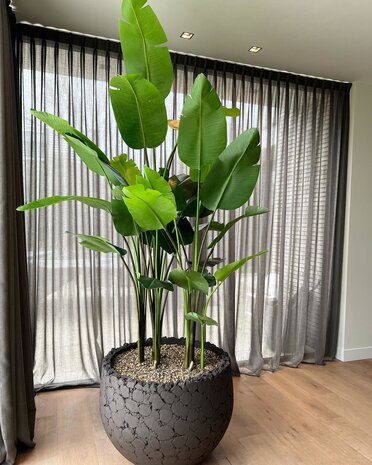 DOMANI LAVA | Natural Black DOMANI LAVA | Natural Black