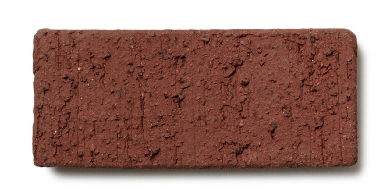 DOMANI TEXEL | Rosso naturale 85