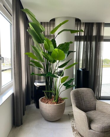 DOMANI TEXEL | Naturlig grå 60 DOMANI TEXEL | Naturlig grå 60