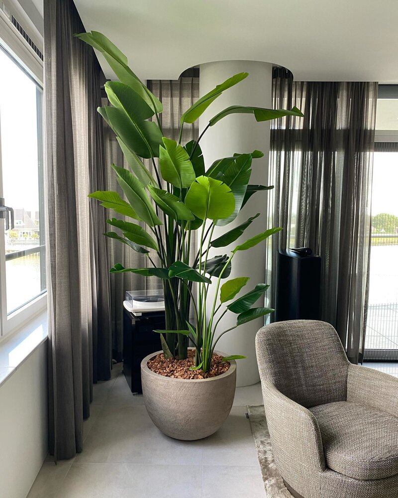 DOMANI TEXEL | Grigio Naturale 70 DOMANI TEXEL | Grigio Naturale 70