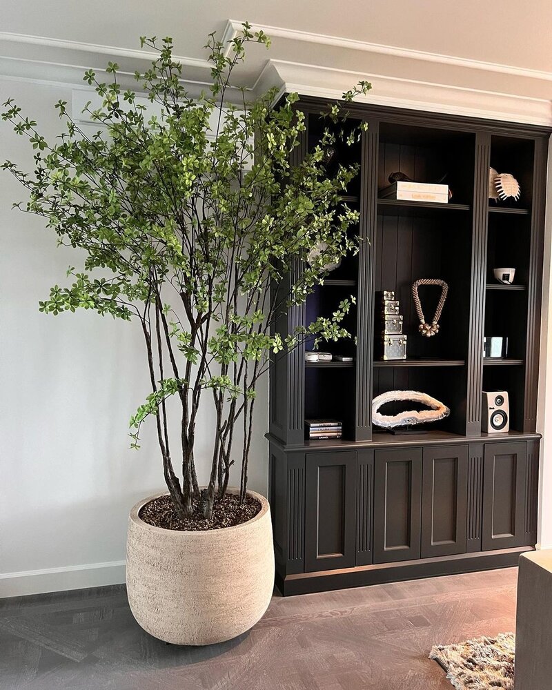 DOMANI Graz | Blanco natural DOMANI Graz | Blanco natural