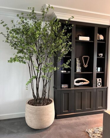 DOMANI Graz | Blanco natural DOMANI Graz | Blanco natural