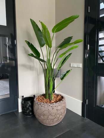 LAVA | Natural Brown - NU PUUR & GROEN B.V.