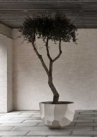 DOMANI BILBAO | Bianco naturale