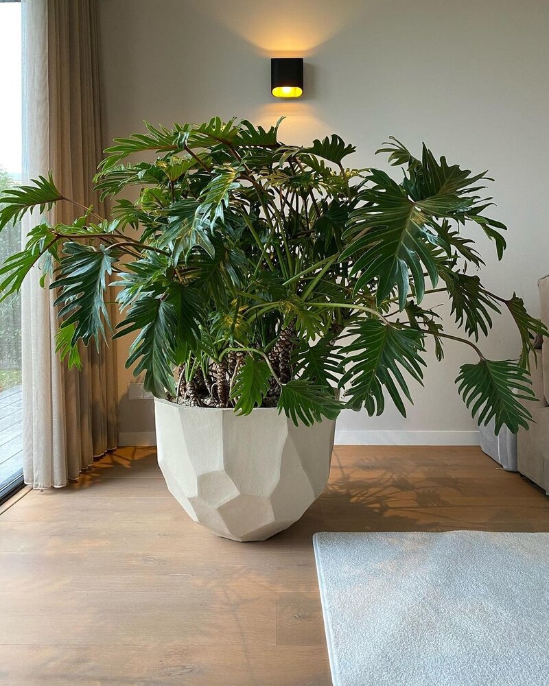 DOMANI BILBAO | Naturlig hvit DOMANI BILBAO | Naturlig hvit