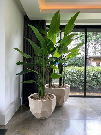 DOMANI BILBAO | Naturlig hvit DOMANI BILBAO | Naturlig hvit