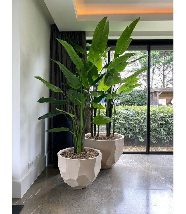 DOMANI BILBAO | Naturweiß