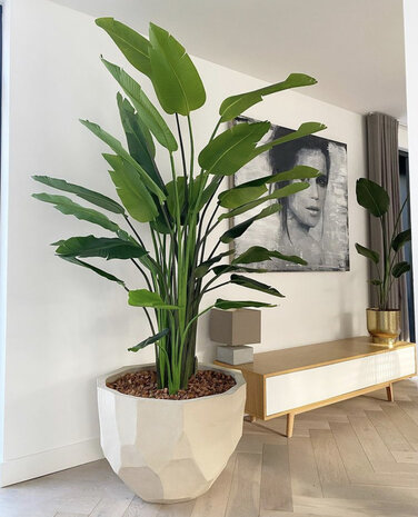 DOMANI BILBAO | Naturlig hvit DOMANI BILBAO | Naturlig hvit