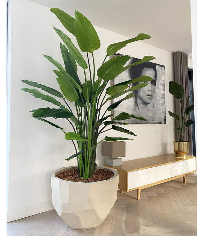 DOMANI BILBAO | Natural White
