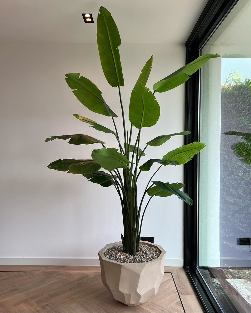 DOMANI BILBAO | Blanc naturel DOMANI BILBAO | Blanc naturel