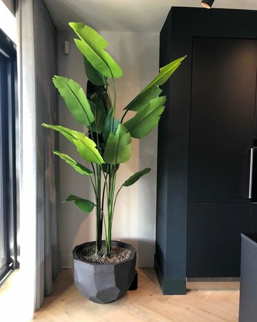 DOMANI BILBAO | Negro natural DOMANI BILBAO | Negro natural