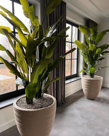 DOMANI DALA | Naturhvit 135