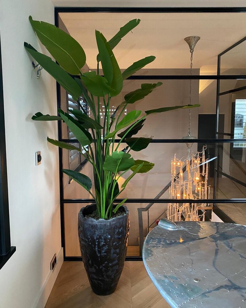 DOMANI LUANDA | Noir métallisé 44 DOMANI LUANDA | Noir métallisé 44