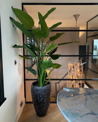 DOMANI LUANDA | Nero metallizzato 80 DOMANI LUANDA | Nero metallizzato 80