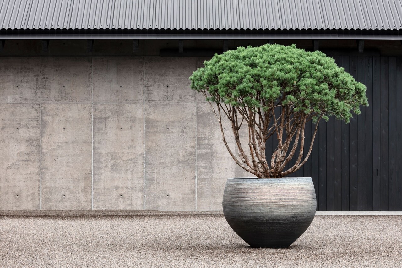 DOMANI NUUK | Metal Art 110 DOMANI NUUK | Metal Art 110