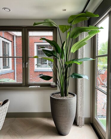 DOMANI NUUK | Arte metálico 80 DOMANI NUUK | Arte metálico 80