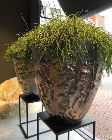 DOMANI LUANDA | Bronzo 44 DOMANI LUANDA | Bronzo 44