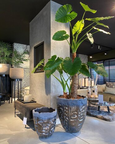 DOMANI LUANDA | Bronzo 44 DOMANI LUANDA | Bronzo 44