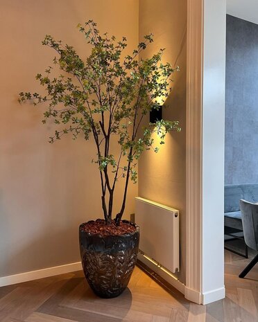 DOMANI LUANDA | Bronzo 44 DOMANI LUANDA | Bronzo 44