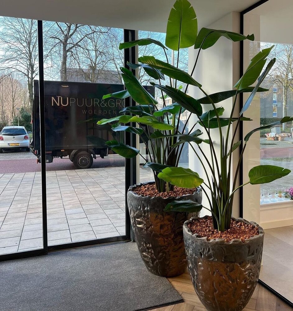 DOMANI LUANDA | Bronzo 44 DOMANI LUANDA | Bronzo 44