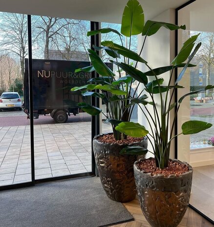 DOMANI LUANDA | Bronze 44 DOMANI LUANDA | Bronze 44