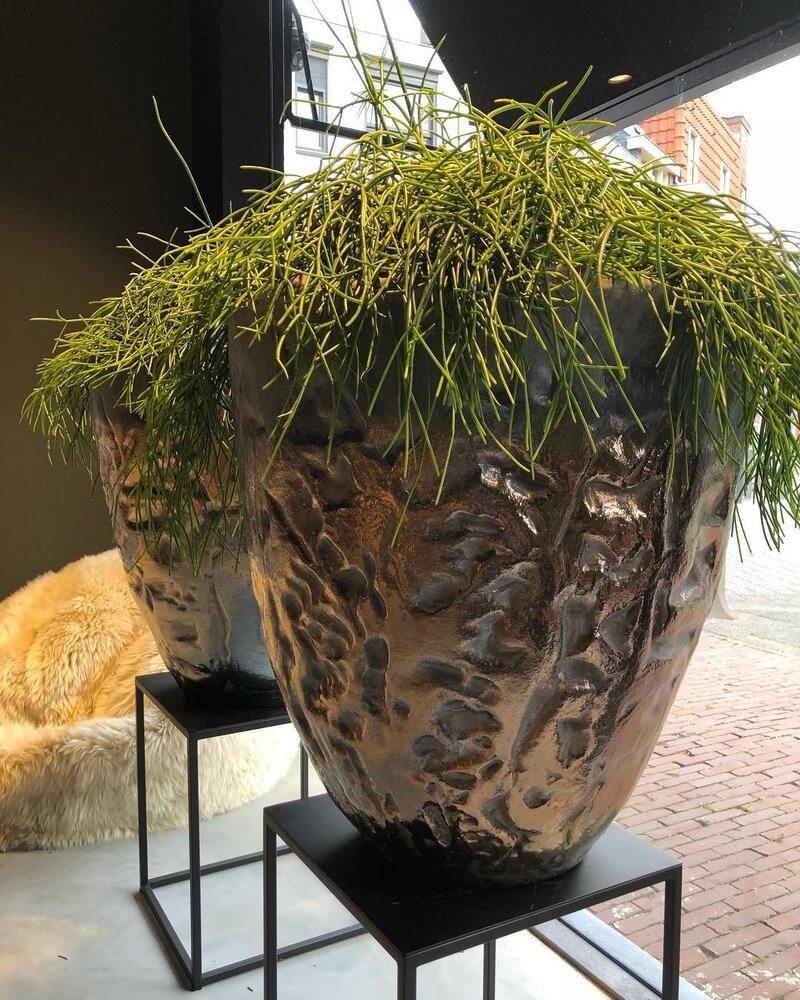 DOMANI LUANDA | Bronce 64 DOMANI LUANDA | Bronce 64