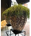DOMANI LUANDA | Bronse 80