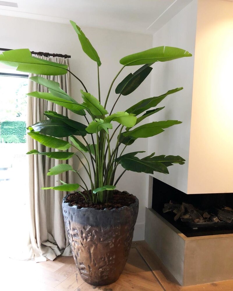 DOMANI LUANDA | Bronzo 80 DOMANI LUANDA | Bronzo 80