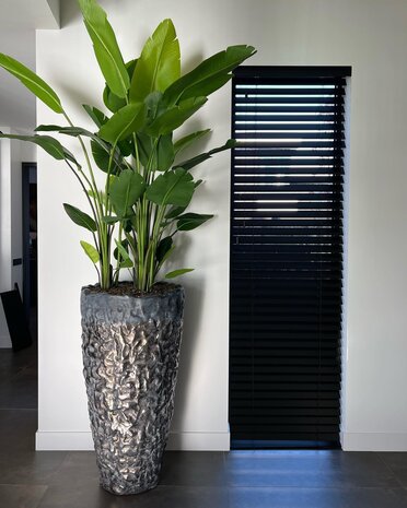 DOMANI LUANDA | Bronse 70 DOMANI LUANDA | Bronse 70