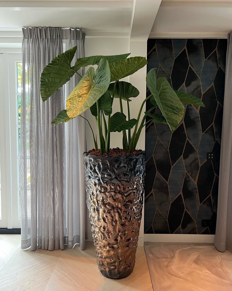 DOMANI LUANDA | Bronze 110 DOMANI LUANDA | Bronze 110